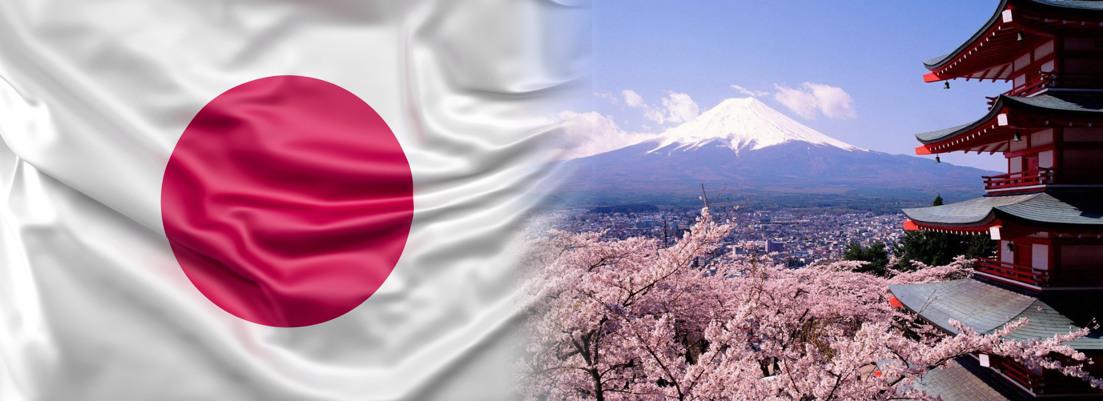 japan sample