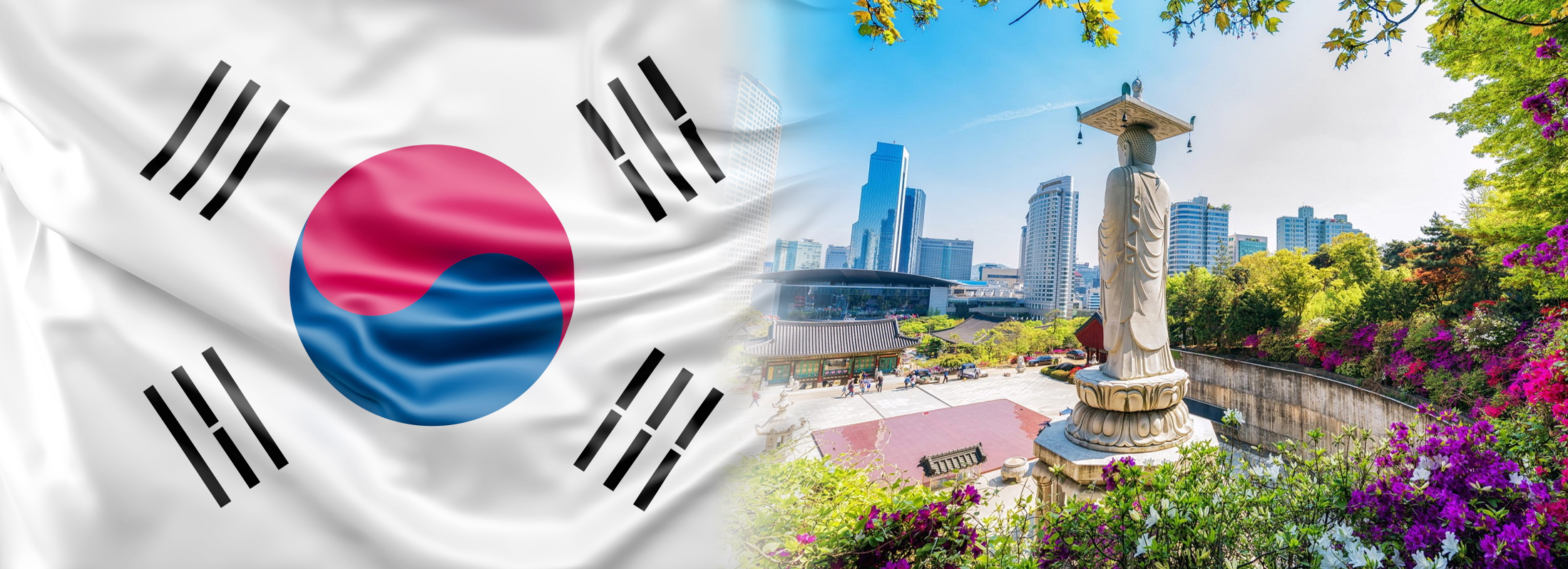 korea sample